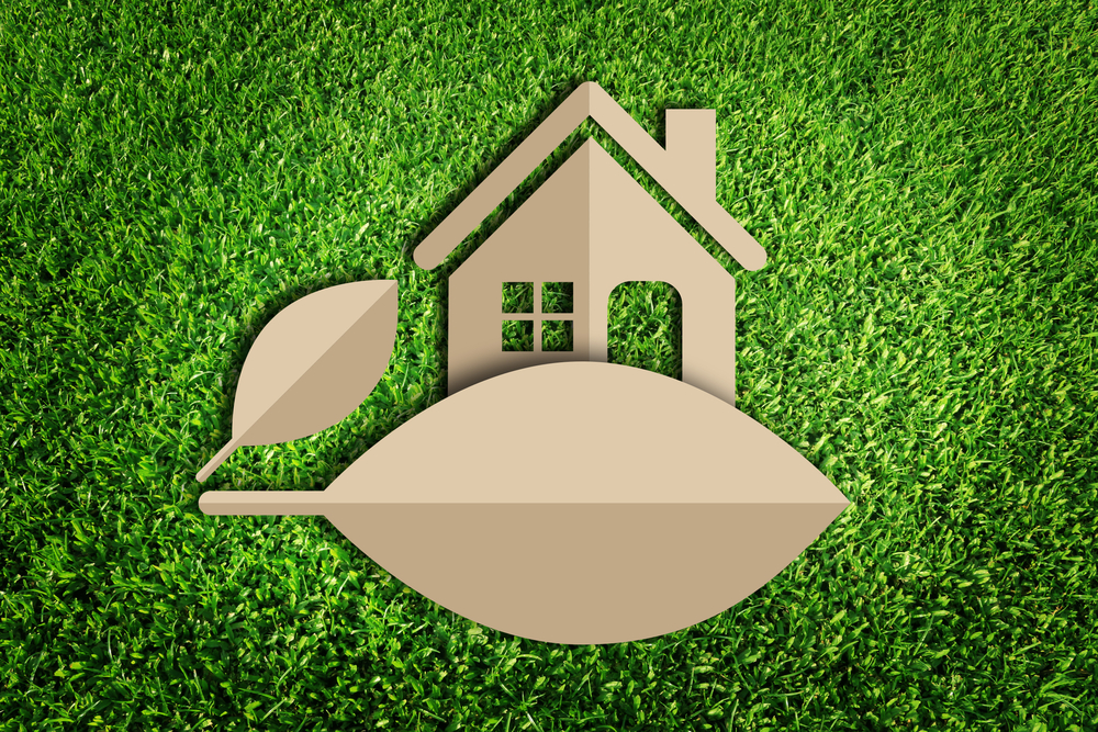 The Growing Demand for Energy-Efficient Homes
